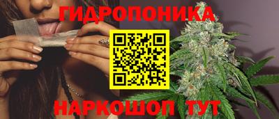 хмурый Гай