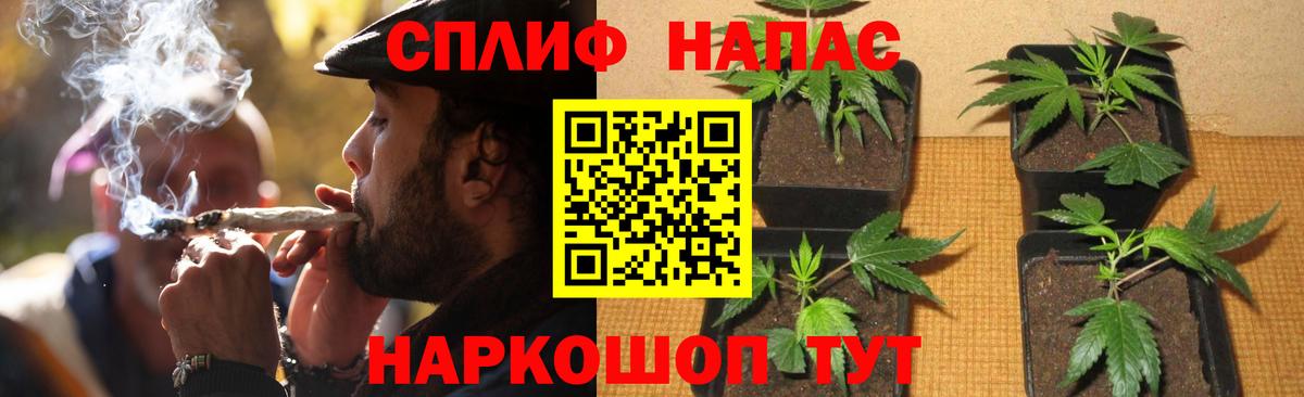 Бошки марихуана LSD WEED  Вход с VPN  Марихуана Amnesia  Бердск  Марихуана White Widow  Бошки Шишки марихуана 